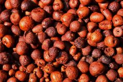 Processed Red Arecanut - Image 1