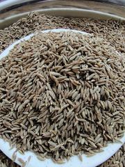 Cumin Seeds Singapore QUALITY 99 - Image 1