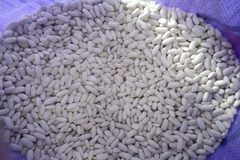 Egyptian White Beans Origin Egypt Size 180/200 Gm Imperfect Seeds 1–3% Brand Name Almahmoud Moisture Content 14% Max Packing Options 25kg & 10kg - Image 4