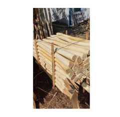 Pressure Treated Acacia Poles – Garden & Landscaping Use - Image 5
