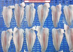 Frozen Pangasius Fillet - Image 6