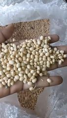 Organic Soybeans – product photo 2, product detail gallery