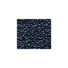 Premium quality black kidney beans bulk supply natural pulses export grade wholesale - Image 2