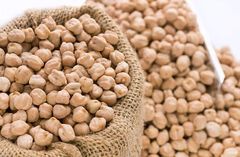 Kabuli Chickpeas in Bulk Export Style Dried Chickpeas - Image 1
