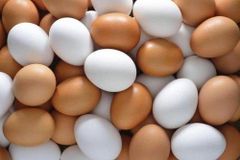 Fresh Table Eggs - Image 1