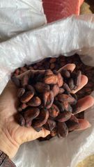 Viet Nam - Cocoa Beans - bags 50kg - Max. Moisture 12% – product photo 1, product detail gallery
