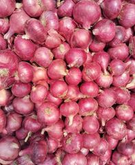 Fresh Onion – product photo 1, product detail gallery