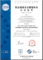 GB/T 45001-2020/ISO 45001:2018 certificate from JUJIANG POWER GROUP CO., LTD