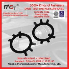 GB858 Plate Washer Spring Washers for Round Nuts Stainless Steel Stop Nuts - Image 2