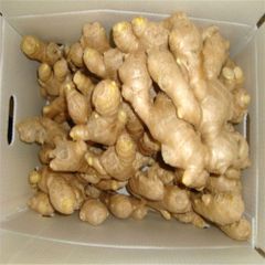 FRESH  GINGER - Image 1