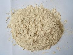 Dehydrated Garlic Powder - Image 1