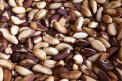 Bolivian Brazil Nuts - Image 1
