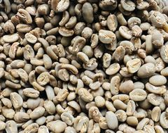 Coffee Bean – product photo 3, product detail gallery