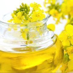 TOP QUALITY REFINED CANOLA OIL - Image 5