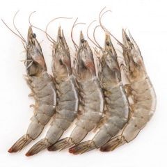 Latest Arrival Giant Tiger Prawn No Additives Fresh Natural Whole Shape Raw Frozen Cooking Bulk Seafood Shrimp - Image 2