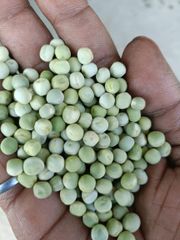 Dried Green peas - Image 1