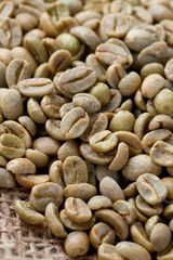 Affordable Green Coffee Beans for Businesses Seeking Quality Raw Coffee Materials at Competitive Market Prices - Image 3
