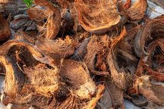 Natural Coconut Coir Fiber – Dried, Clean, Industrial Grade - Image 1