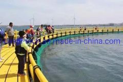 Farming Floating Aquaculture Fish Circular Cage Net - Image 6