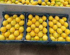 FRESH EUREKA LEMON FOR SALE!! CLASS 1 EXPORT QUALITY EUREKA LEMONS AVAILABLE FOR EXPORT – product photo 1, product detail gallery