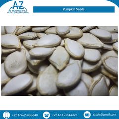 Rich Quality High Grade Pure Natural Organic Pumpkin Seeds Kernels from Top Supplier - Image 6