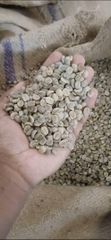 Robusta Cherry A - Image 1