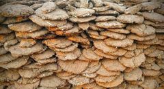 cow dung – product photo 1, product detail gallery