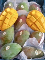 Egyptian Mango - Image 1