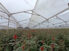 Company – thumbnail 2 of 3, supplier detail gallery