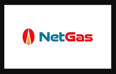NetGas Energy Services