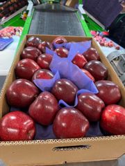 Fresh apples - Image 1
