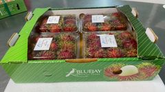 Rambutan Grade A Color Hairy Exterior Place of Origin Thailand Texture Sweet, Juicy Flesh Packaging Card Tray 4 x 500g Per Tray - Image 1