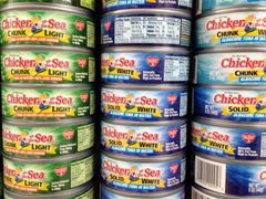 Canned Tuna Fish Chunk in Vegetable Oil - Image 1
