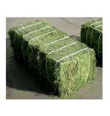 Organic Top-quality Alfalfa Hay/Grass Hay/Pellets for Fish Cattle & Horse Feed - Image 3