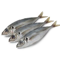 Frozen Mackerel Fish Selected Whole Round Catch Delivering 98% Natural Quality For International Seafood Buyers – product photo 5, product detail gallery