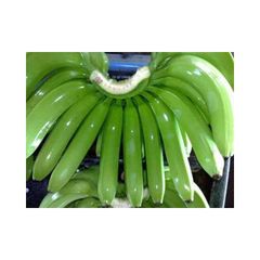 Fresh Green Cavendish Bananas Green Tanzania Banana Suppliers Tanzania Fresh Bananas for Export Fresh Frozen Fruit - Image 1
