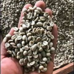 Coffee Bean – product photo 3, product detail gallery