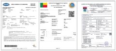 Certificates certificate of DB Tomato (Xiamen) Industry Co., Ltd. – certificate photo, supplier certificates section