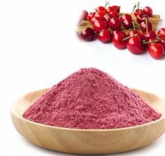 High Quality Acerola Cherry Extract Powder 25% Vitamin C CAS No / Variety / Form Soild State Powder Origin China Packaging - Image 3