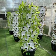 Automated-Irrigation Hydroponics Tower System for Intelligent Greenhouse Growth - Image 6