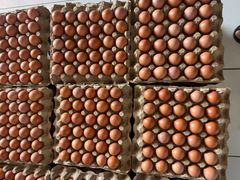 Fresh Chicken Egg - Image 2