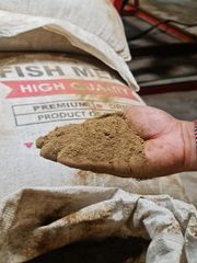 Fish Meal 60% Protein – Steam Dried, Low TVBN, Feed Grade, Bulk Supply Indonesia - Image 1