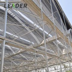 Solar Greenhouse Plastic Films and Strawberry Greenhouses for Agriculture - Image 4