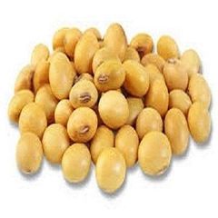 Natural Soybean Premium Soybean High Quality Bulk - Image 4
