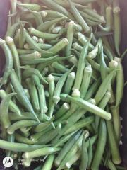 Vegetables – product photo 1, product detail gallery
