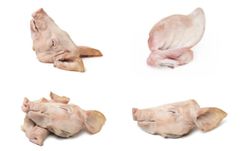 PIG HEAD - Image 1