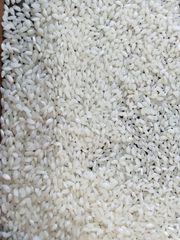 Myanmar Short Grain White Rice 5% Broken - Image 2
