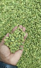 7 to 8 mm Green Cardamom - Image 2