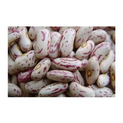 Organic Pinto Beans Sugar Beans / Kidney Beans / Red Kidney Beans - Image 3