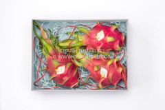 Export Standard Bulk Fresh Dragon Fruit Natural Sweet Taste Red and White Tropical Fruit 380-780g Agriculture Grade – product photo 5, product detail gallery